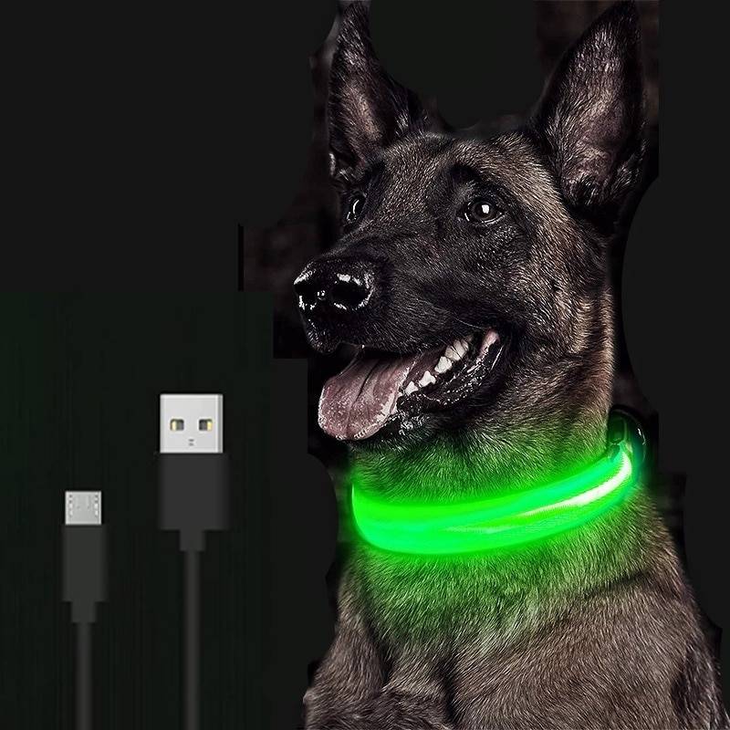 Collar luminoso LED para perro, luz nocturna ajustable, recargable, para perros pequeños y gatos Supernova eShop Collar luminoso LED para perro, luz nocturna ajustable, recargable, para perros pequeños y gatos https://supernovaeshop.com