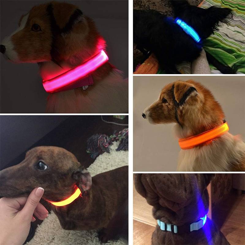 Collar luminoso LED para perro, luz nocturna ajustable, recargable, para perros pequeños y gatos Supernova eShop Collar luminoso LED para perro, luz nocturna ajustable, recargable, para perros pequeños y gatos https://supernovaeshop.com