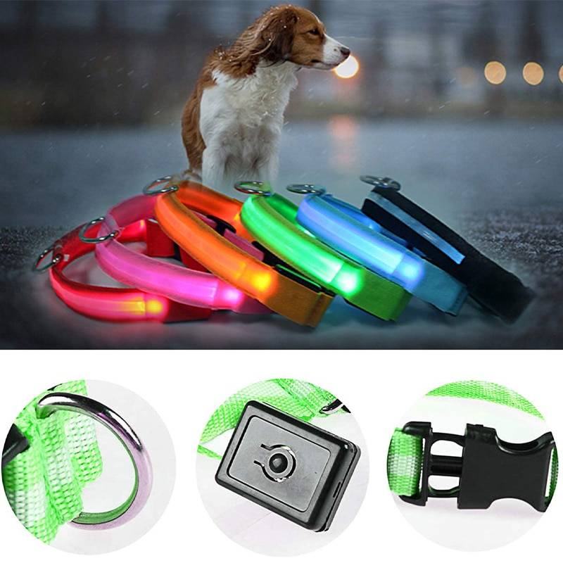 Collar luminoso LED para perro, luz nocturna ajustable, recargable, para perros pequeños y gatos Supernova eShop Collar luminoso LED para perro, luz nocturna ajustable, recargable, para perros pequeños y gatos https://supernovaeshop.com